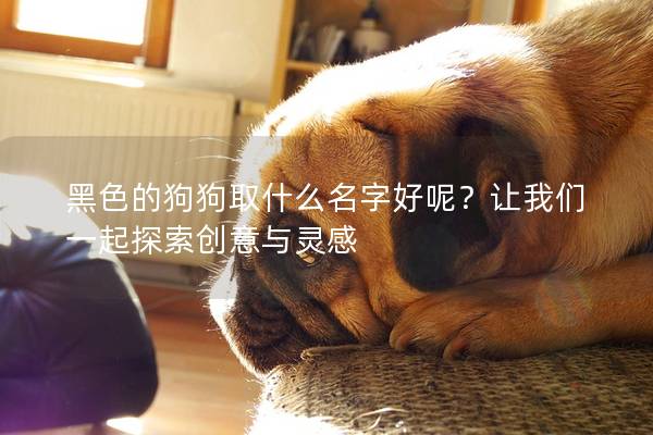 黑色的狗狗取什么名字好呢?讓我們一起探索創(chuàng)意與靈感 黑色的狗狗取什么名字好呢?讓我們一起探索創(chuàng)意與靈感