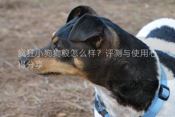 瘋狂小狗狗糧怎么樣？評(píng)測(cè)與使用心得分享