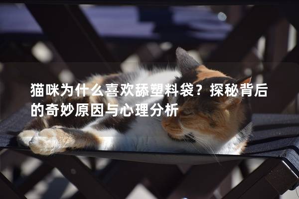 貓咪為什么喜歡舔塑料袋？探秘背后的奇妙原因與心理分析