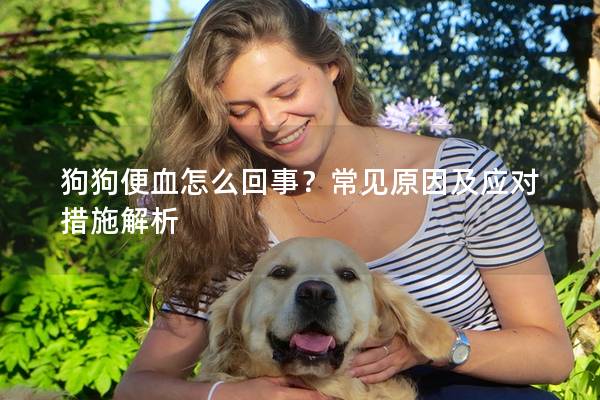 狗狗便血怎么回事？常見原因及應(yīng)對措施解析