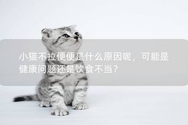小貓不拉便便是什么原因呢,可能是健康問(wèn)題還是飲食不當(dāng)? 小貓不拉便便是什么原因呢,可能是健康問(wèn)題還是飲食不當(dāng)?