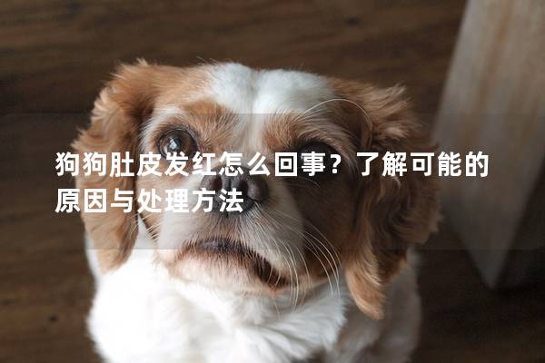 狗狗肚皮發紅怎么回事？了解可能的原因與處理方法