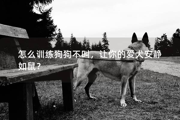 怎么訓練狗狗不叫，讓你的愛犬安靜如鼠？