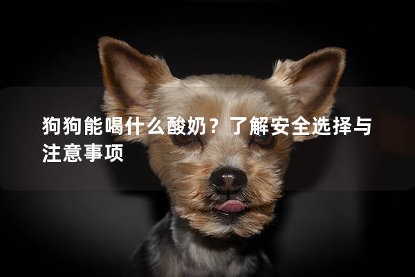 狗狗能喝什么酸奶？了解安全選擇與注意事項
