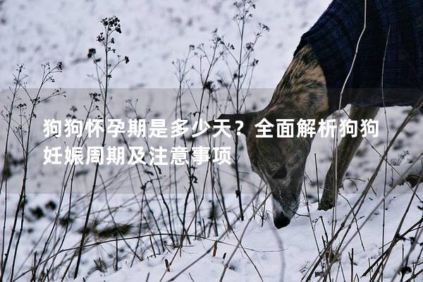 狗狗懷孕期是多少天？全面解析狗狗妊娠周期及注意事項