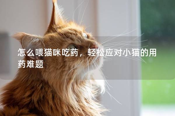怎么喂貓咪吃藥,輕松應對小貓的用藥難題 怎么喂貓咪吃藥,輕松應對小貓的用藥難題