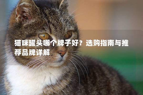 貓咪罐頭哪個牌子好？選購指南與推薦品牌詳解