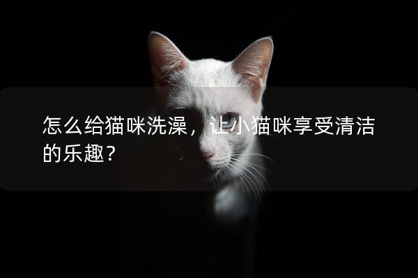 怎么給貓咪洗澡，讓小貓咪享受清潔的樂趣？