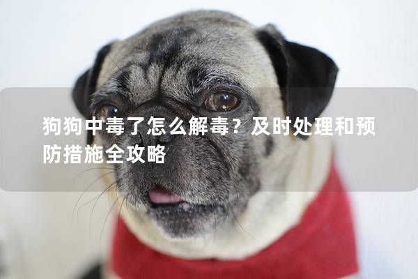狗狗中毒了怎么解毒？及時處理和預防措施全攻略