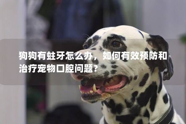 狗狗有蛀牙怎么辦，如何有效預(yù)防和治療寵物口腔問(wèn)題？
