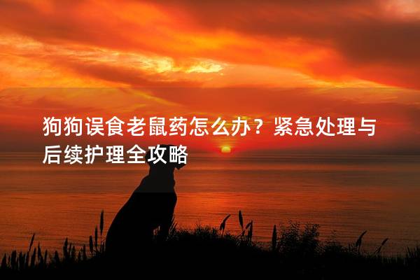 狗狗誤食老鼠藥怎么辦？緊急處理與后續(xù)護(hù)理全攻略