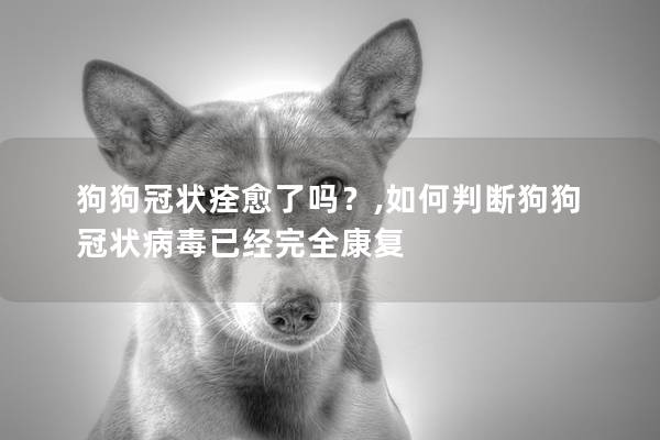 狗狗冠狀痊愈了嗎?,如何判斷狗狗冠狀病毒已經(jīng)完全康復(fù) 狗狗冠狀痊愈了嗎?,如何判斷狗狗冠狀病毒已經(jīng)完全康復(fù)