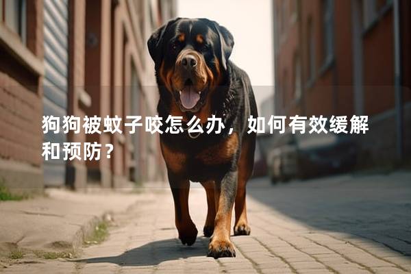 狗狗被蚊子咬怎么辦，如何有效緩解和預(yù)防？
