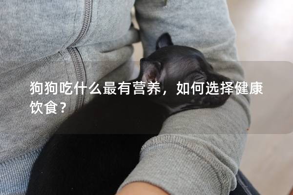 狗狗吃什么最有營(yíng)養(yǎng)，如何選擇健康飲食？