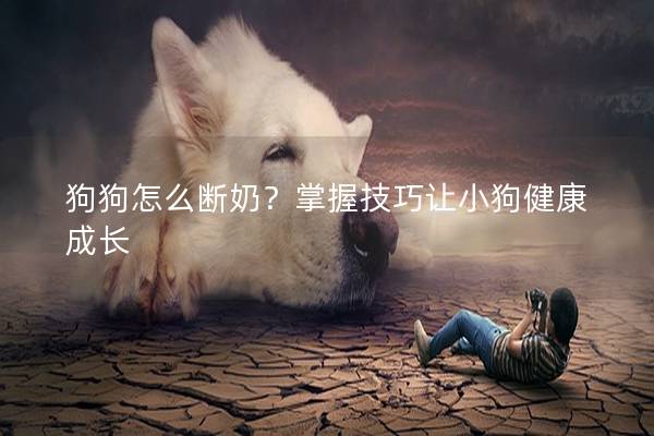 狗狗怎么斷奶？掌握技巧讓小狗健康成長