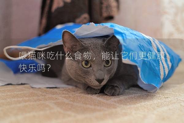 喂貓咪吃什么食物，能讓它們更健康快樂(lè)嗎？