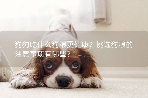 狗狗吃什么狗糧更健康？挑選狗糧的注意事項有哪些？