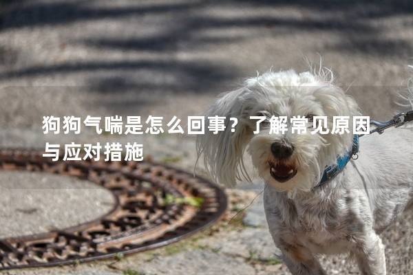 狗狗氣喘是怎么回事？了解常見原因與應對措施