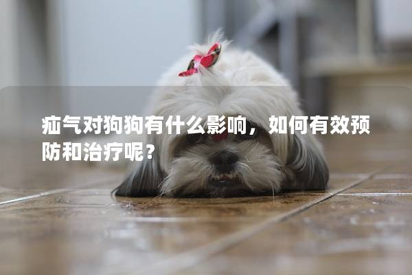 疝氣對狗狗有什么影響，如何有效預(yù)防和治療呢？