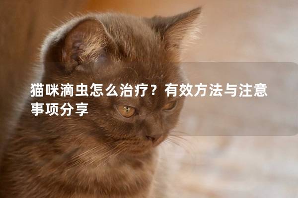 貓咪滴蟲怎么治療？有效方法與注意事項分享