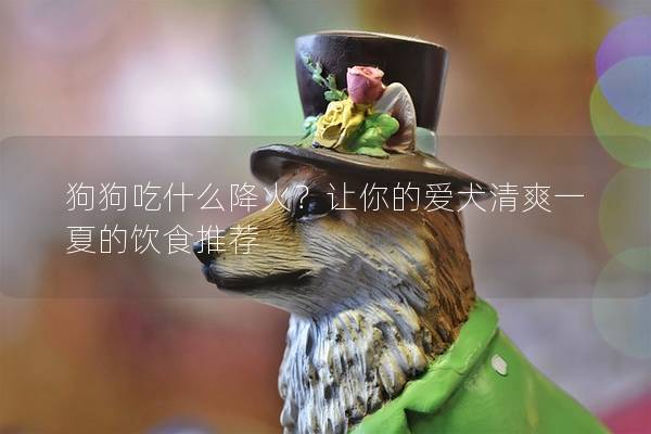狗狗吃什么降火?讓你的愛犬清爽一夏的飲食推薦 狗狗吃什么降火?讓你的愛犬清爽一夏的飲食推薦