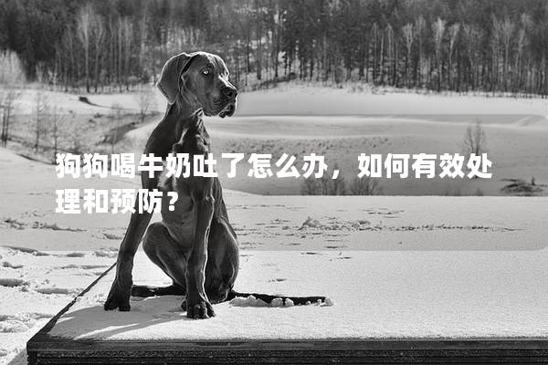 狗狗喝牛奶吐了怎么辦，如何有效處理和預(yù)防？