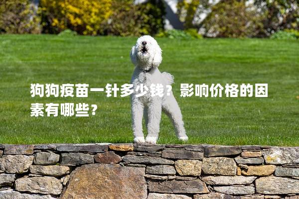 狗狗疫苗一針多少錢？影響價格的因素有哪些？