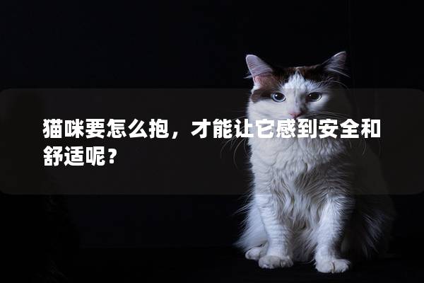 貓咪要怎么抱，才能讓它感到安全和舒適呢？