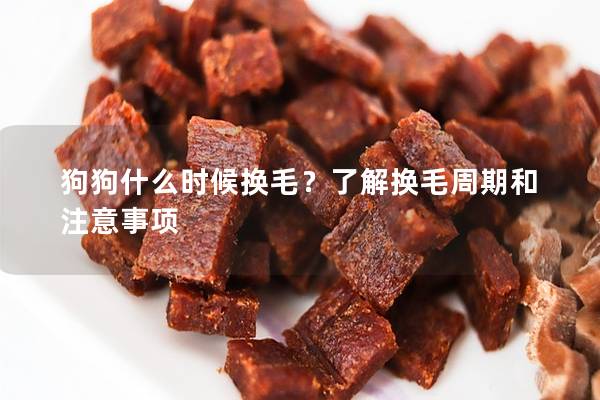 狗狗什么時候換毛？了解換毛周期和注意事項