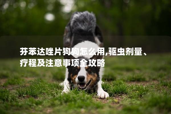 芬苯達唑片狗狗怎么用,驅蟲劑量、療程及注意事項全攻略 芬苯達唑片狗狗怎么用,驅蟲劑量、療程及注意事項全攻略