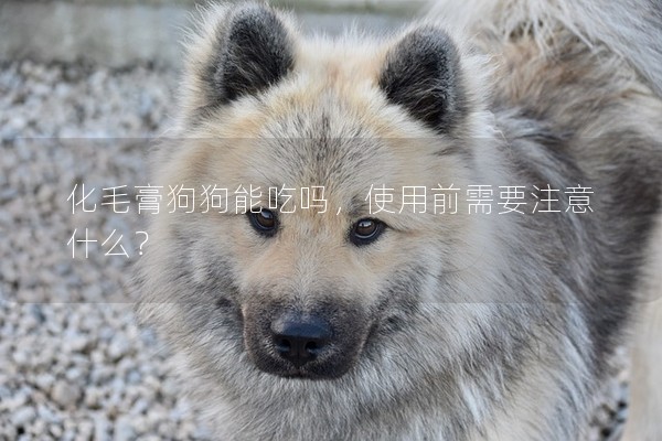 化毛膏狗狗能吃嗎，使用前需要注意什么？