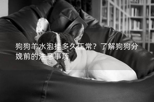狗狗羊水泡掛多久正常？了解狗狗分娩前的注意事項(xiàng)