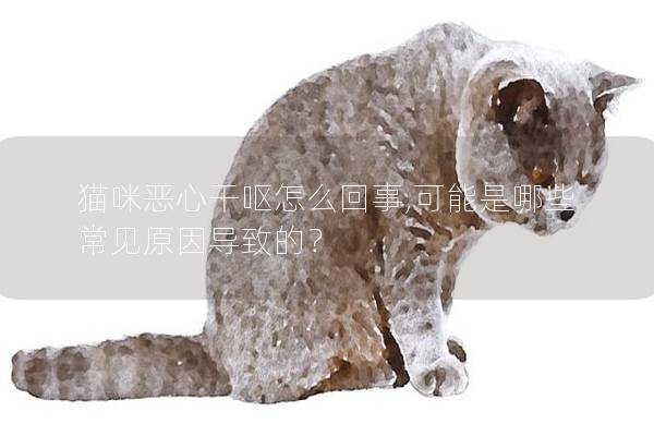 貓咪惡心干嘔怎么回事,可能是哪些常見原因導致的？