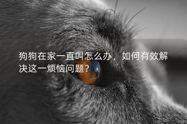 狗狗在家一直叫怎么辦，如何有效解決這一煩惱問題？