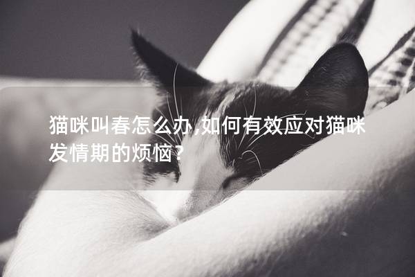貓咪叫春怎么辦,如何有效應(yīng)對(duì)貓咪發(fā)情期的煩惱？