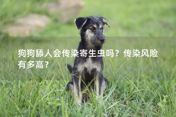 狗狗舔人會傳染寄生蟲嗎？傳染風險有多高？
