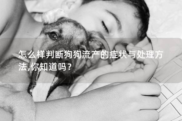 怎么樣判斷狗狗流產(chǎn)的癥狀與處理方法,你知道嗎？