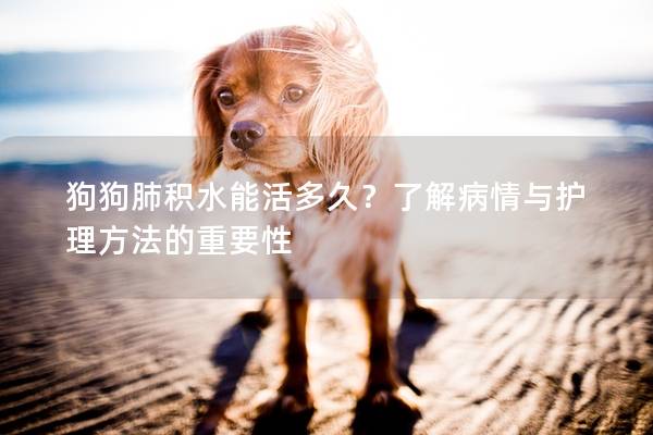 狗狗肺積水能活多久？了解病情與護理方法的重要性