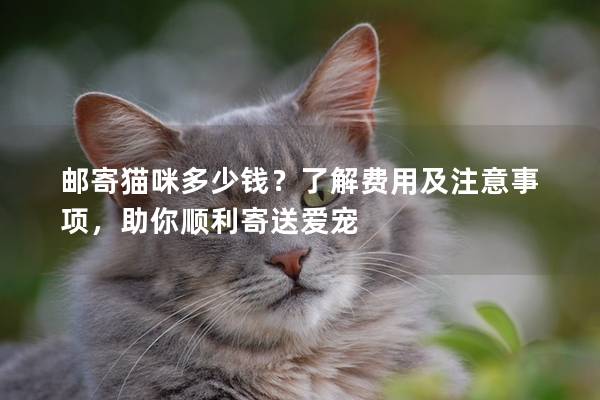 郵寄貓咪多少錢？了解費用及注意事項，助你順利寄送愛寵