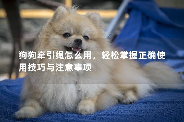 狗狗牽引繩怎么用，輕松掌握正確使用技巧與注意事項