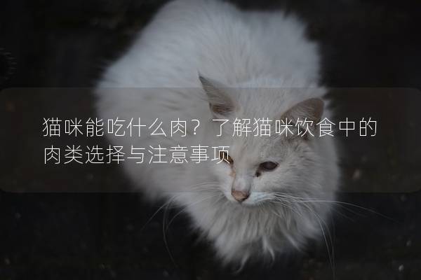 貓咪能吃什么肉？了解貓咪飲食中的肉類選擇與注意事項
