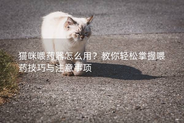 貓咪喂藥器怎么用？教你輕松掌握喂藥技巧與注意事項(xiàng)