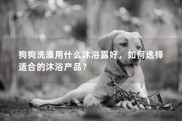 狗狗洗澡用什么沐浴露好，如何選擇適合的沐浴產品？