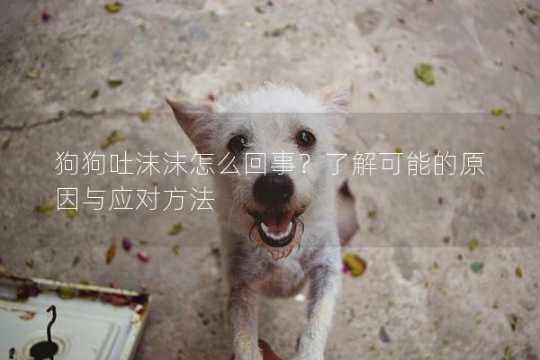 狗狗吐沫沫怎么回事？了解可能的原因與應對方法