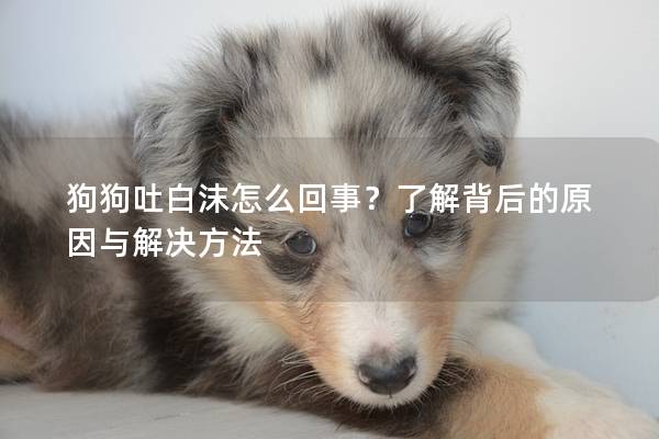 狗狗吐白沫怎么回事？了解背后的原因與解決方法