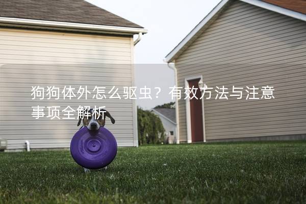 狗狗體外怎么驅(qū)蟲？有效方法與注意事項全解析
