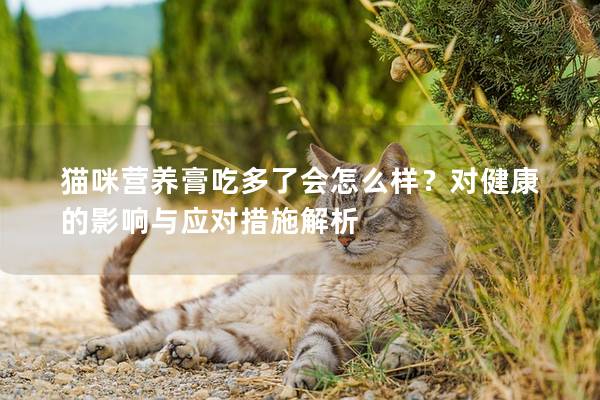 貓咪營養膏吃多了會怎么樣？對健康的影響與應對措施解析