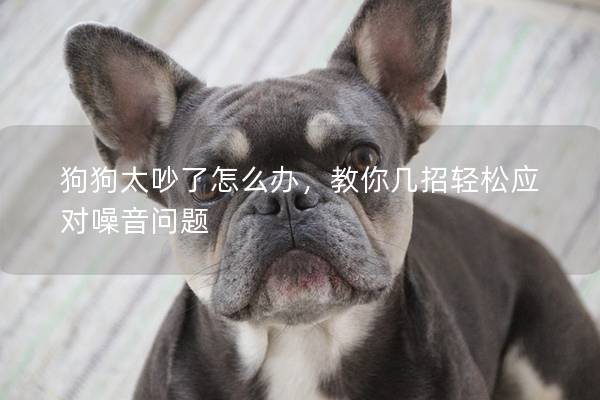 狗狗太吵了怎么辦，教你幾招輕松應對噪音問題
