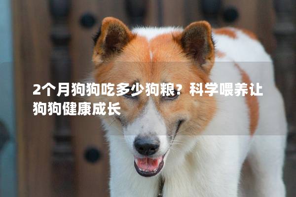 2個月狗狗吃多少狗糧？科學喂養讓狗狗健康成長