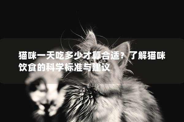 貓咪一天吃多少才算合適?了解貓咪飲食的科學標準與建議 貓咪一天吃多少才算合適?了解貓咪飲食的科學標準與建議